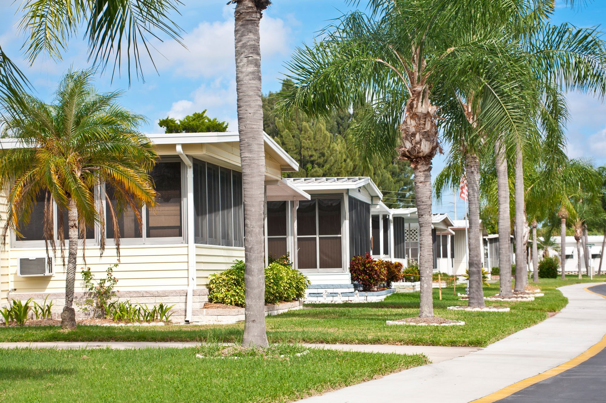Palm Grove